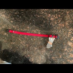 Small Red Nylon Leash